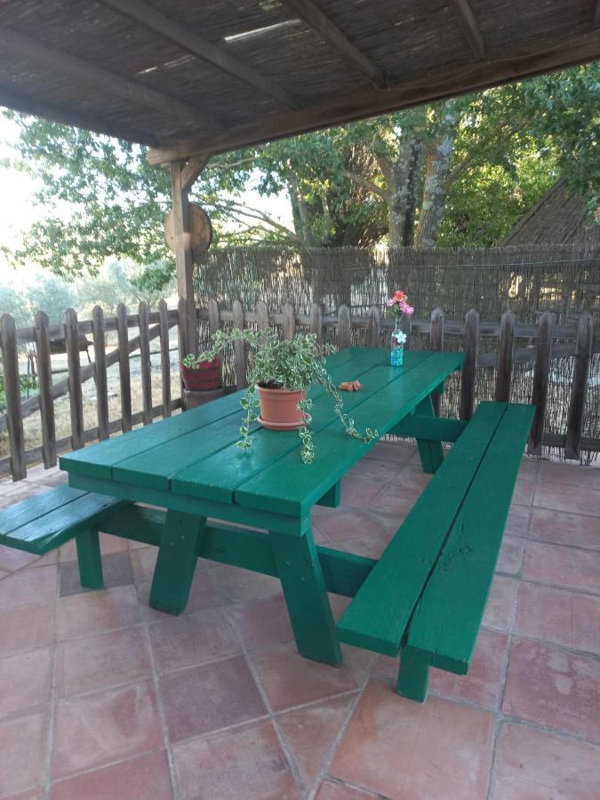 Agriturismo Podere Cherzo 奇尼基亚诺 外观 照片
