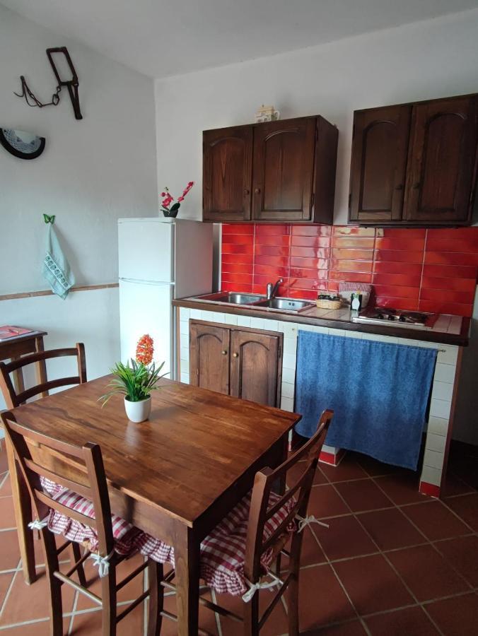 Agriturismo Podere Cherzo 奇尼基亚诺 外观 照片